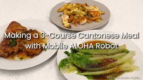 線上賭場：成本3萬美金的機器人，能自己炒菜做家務了